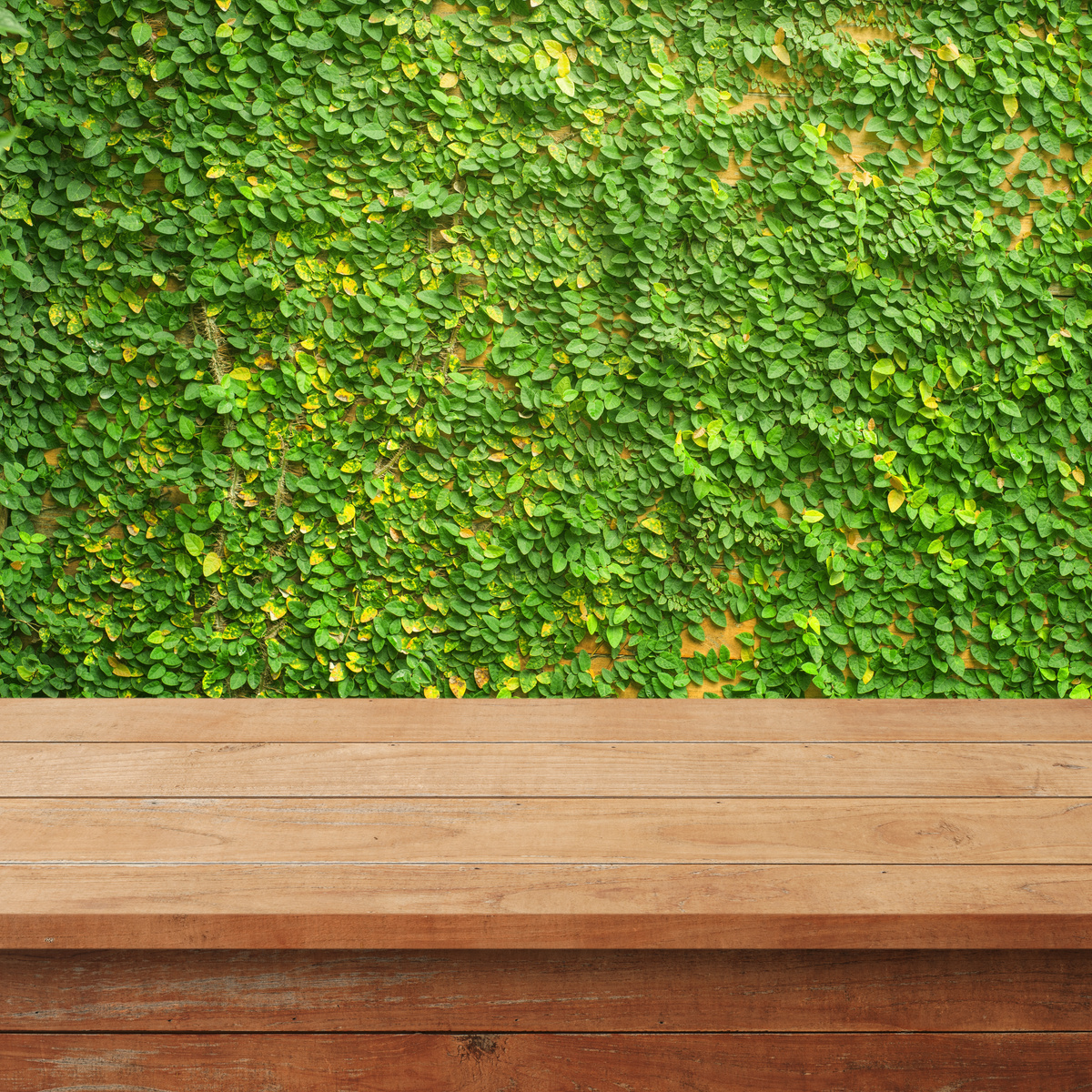 Empty Wooden Table Outdoors